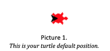 Turtle default direction