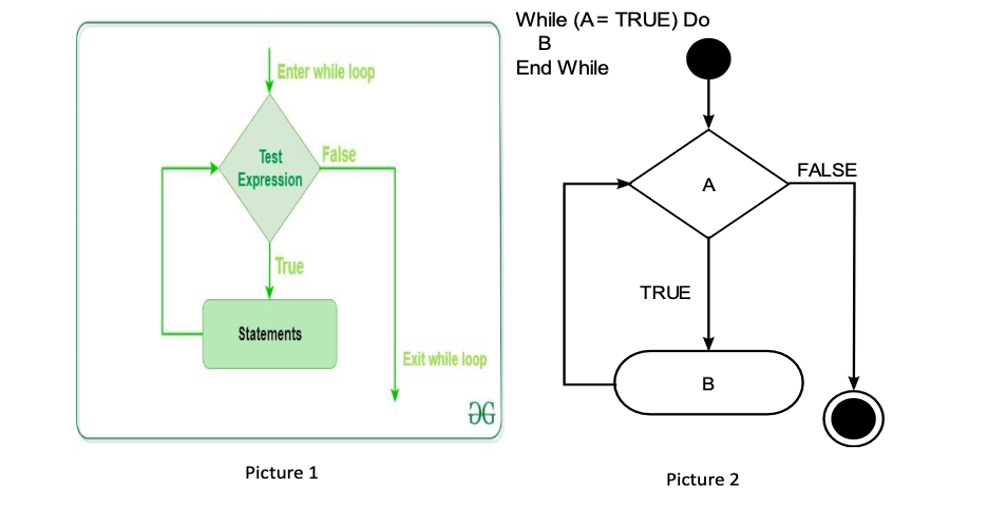 while loop rules